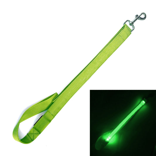 Hi Visibility LED Dog Leash - Green (w xtra batts)