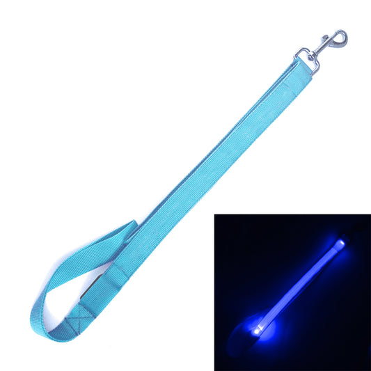 Hi Visibility LED Dog Leash - Blue (w xtra batts)