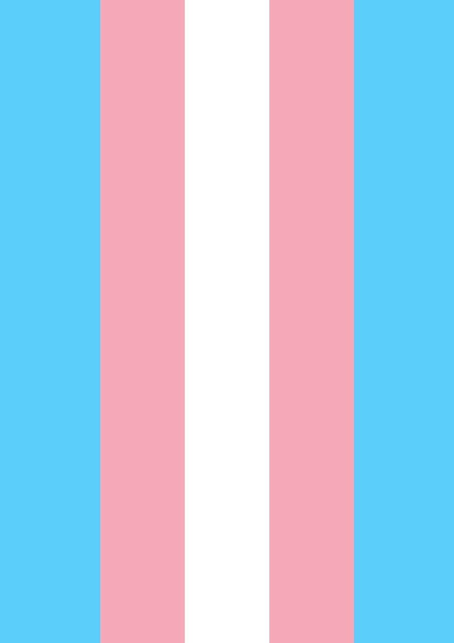 Transgender Flag Standard Flag